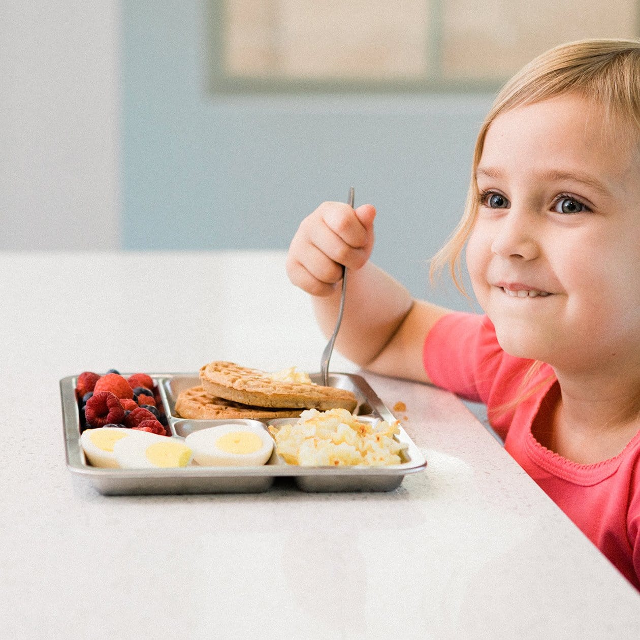 Rover Stainless Steel Tray