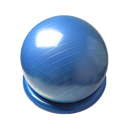 Wholesale Hot Selling Customize PVC Balance Yoga Ball Ring Set